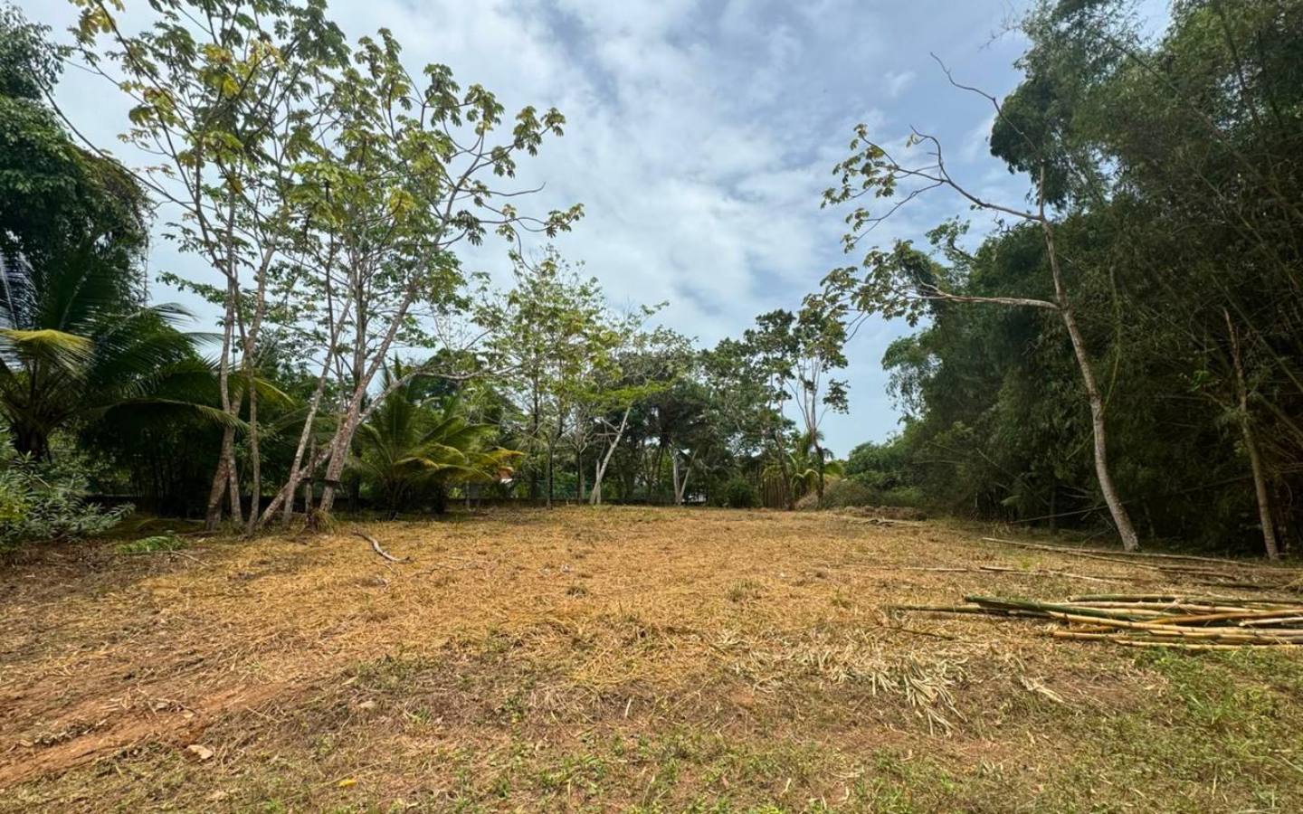Your Private Residential Lot Oasis: .442 Acres of High & Dry Paradise in Sittee River