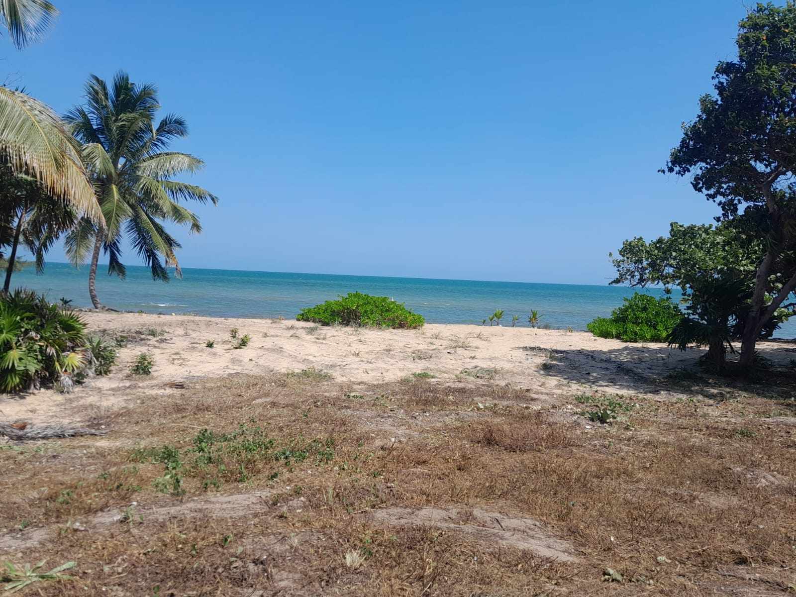 Exceptional 10 acres with 700 Feet of Caribbean Seafront