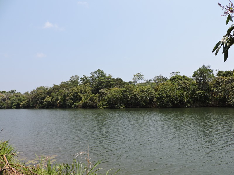 Riverfront Lot on the Sittee River 5 minutes to the river mouth