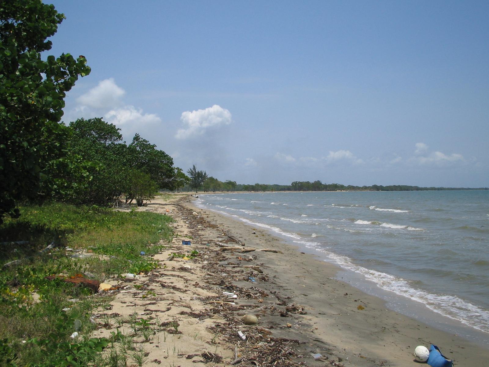 Beachfront Subdivision Mullins River
