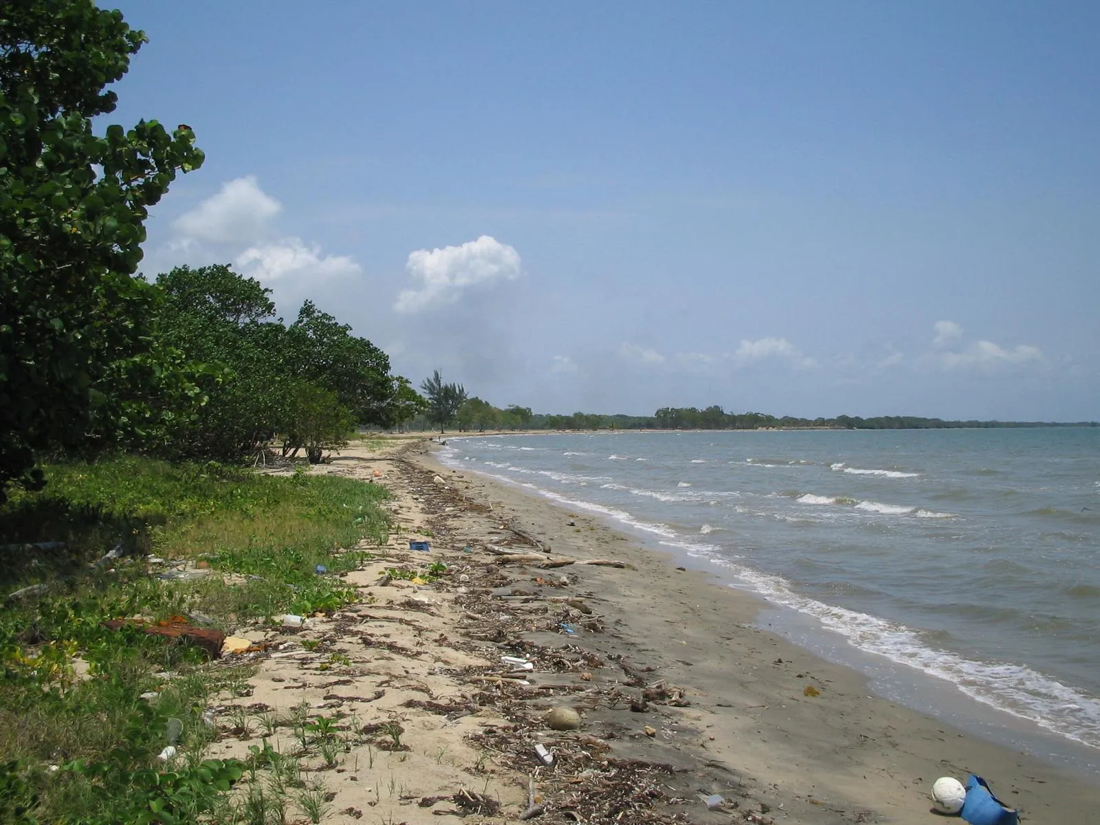 Beachfront Subdivision Mullins River