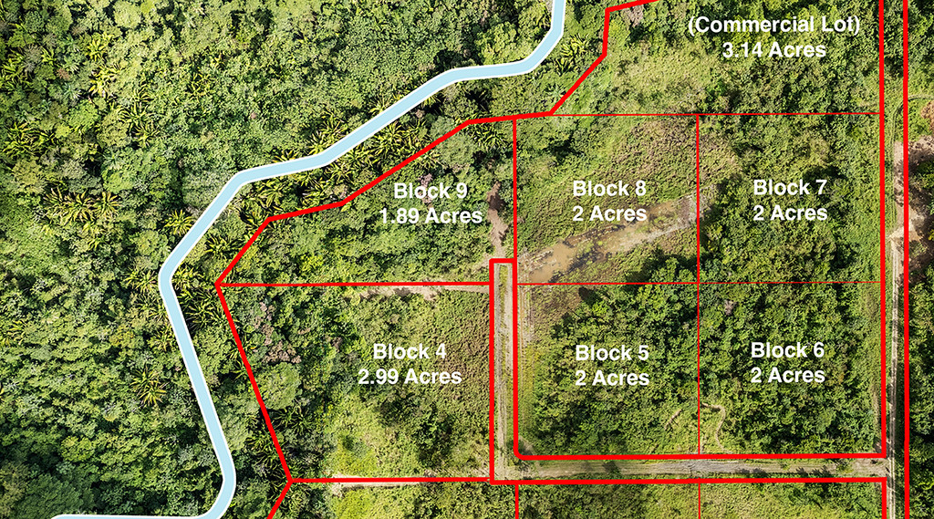 Hopkins Road 2 Acre Mini Farm Lots