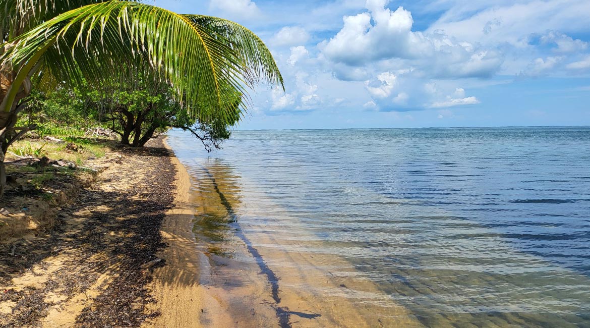 Coastal Highway Beachfront—selling quickly