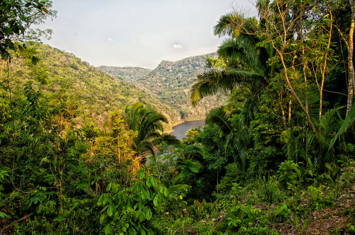 0.61-Acre Rainforest Lot 71 – Better In Belize Eco-Community, Water Hole, Cayo