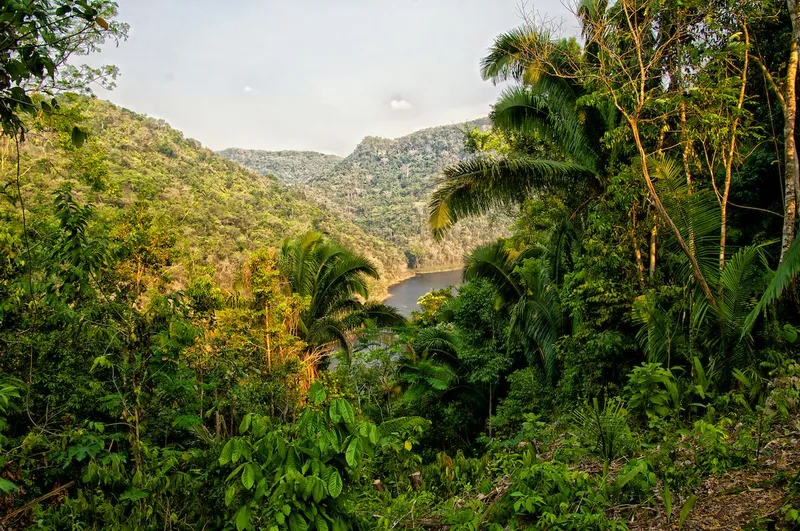 0.61-Acre Rainforest Lot 71 – Better In Belize Eco-Community, Water Hole, Cayo