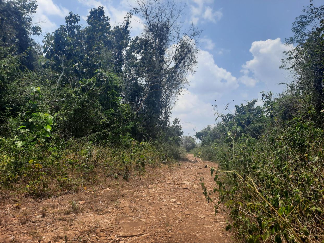 #2529 – 10 ACRES OF LAND NEAR SAN ANTONIO VILLAGE, CAYO DISTRICT.