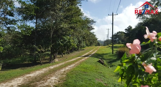 # 4011 – BELIZE RESIDENTIAL 1/2 ACRE LOT – SAN IGNACIO, CAYO DISTRICT