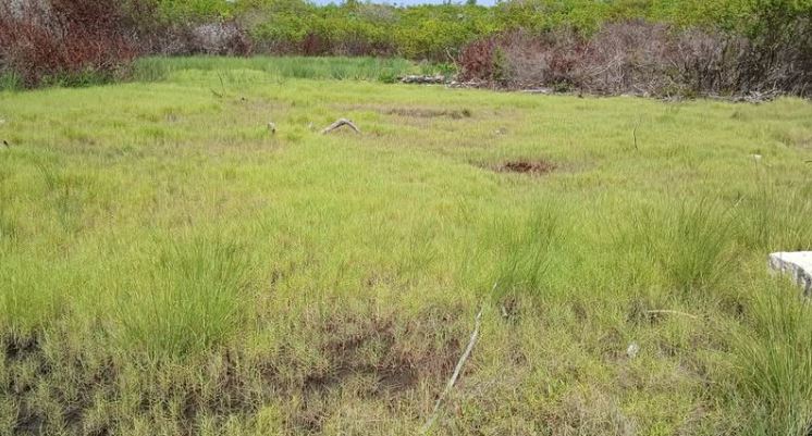 Lot/Land 8 Mile North San Pedro Ambergris Caye