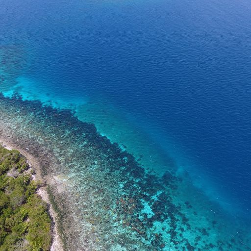 Private Island off the Placencia Peninsula