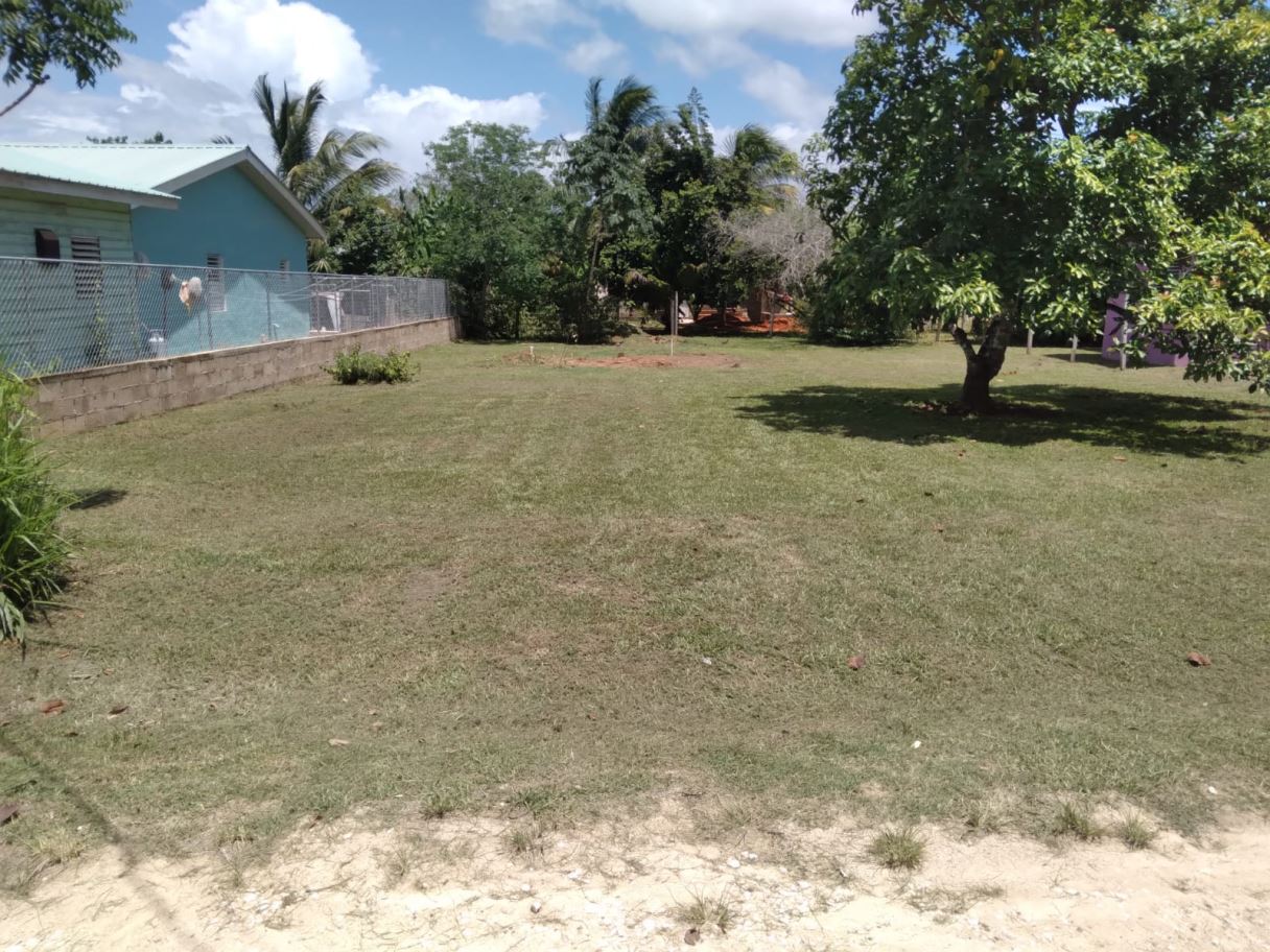 Santa Elena Residential Lot – Bradley’s Bank, Cayo District