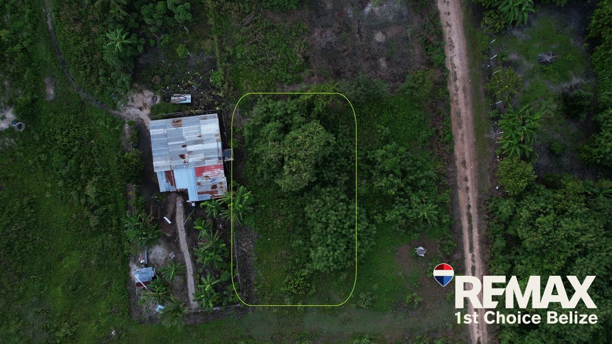 L3625 - Build Your Dream Home