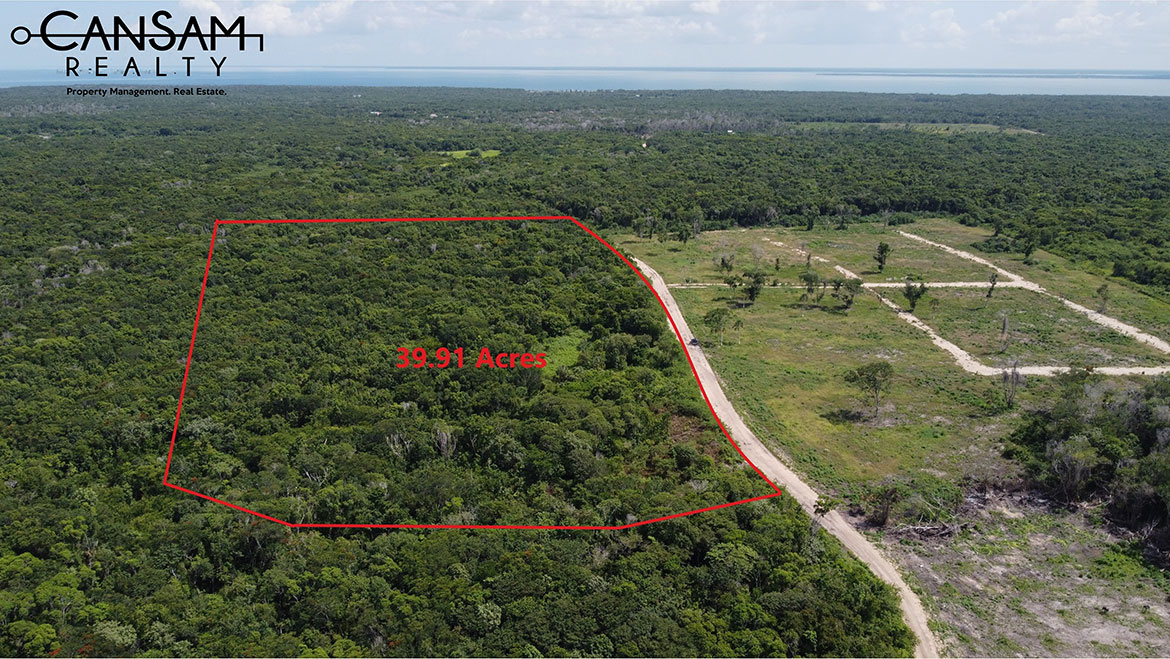 Virgin Land for Sale in Corozal Town | 15 Minutes from Mexico Border