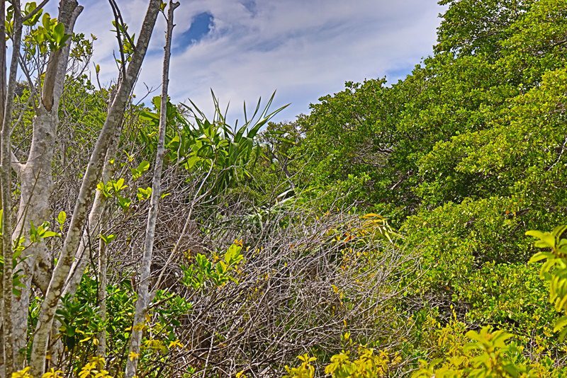 Commercial Lot Near Blu Zen
