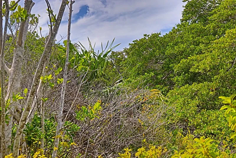 Commercial Lot Near Blu Zen