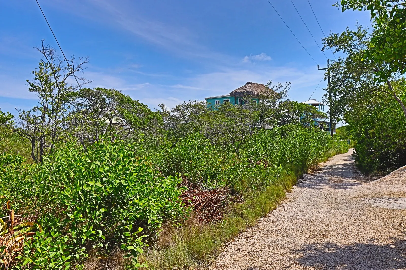 Oversized Second Row Lot in Eden Isle