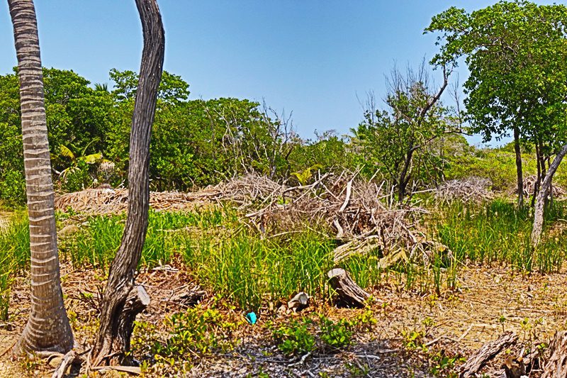 oversized south point lot