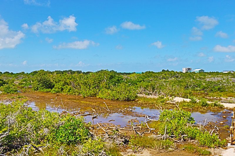 pristine land in san pedro