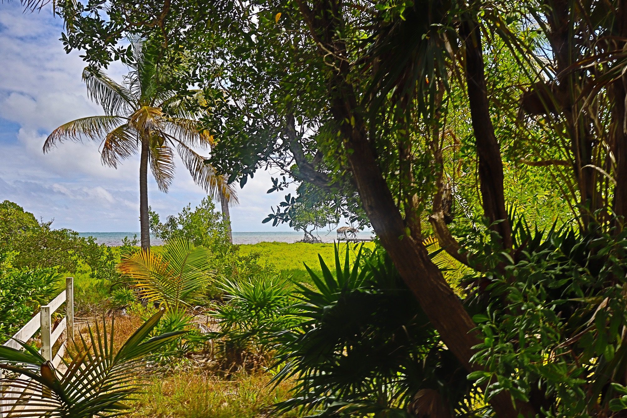 Seaside Sanctuary