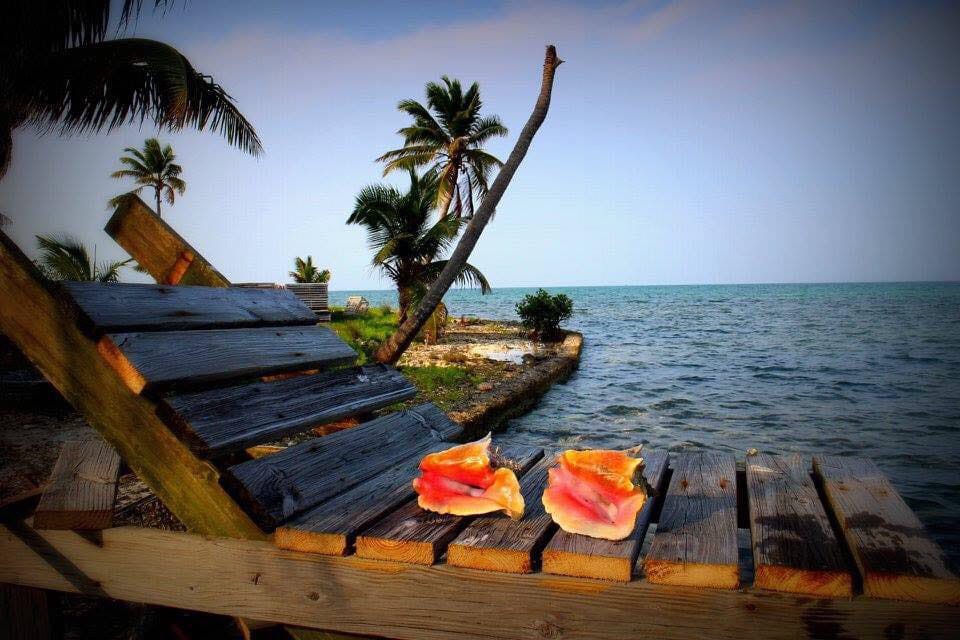 Shag Caye