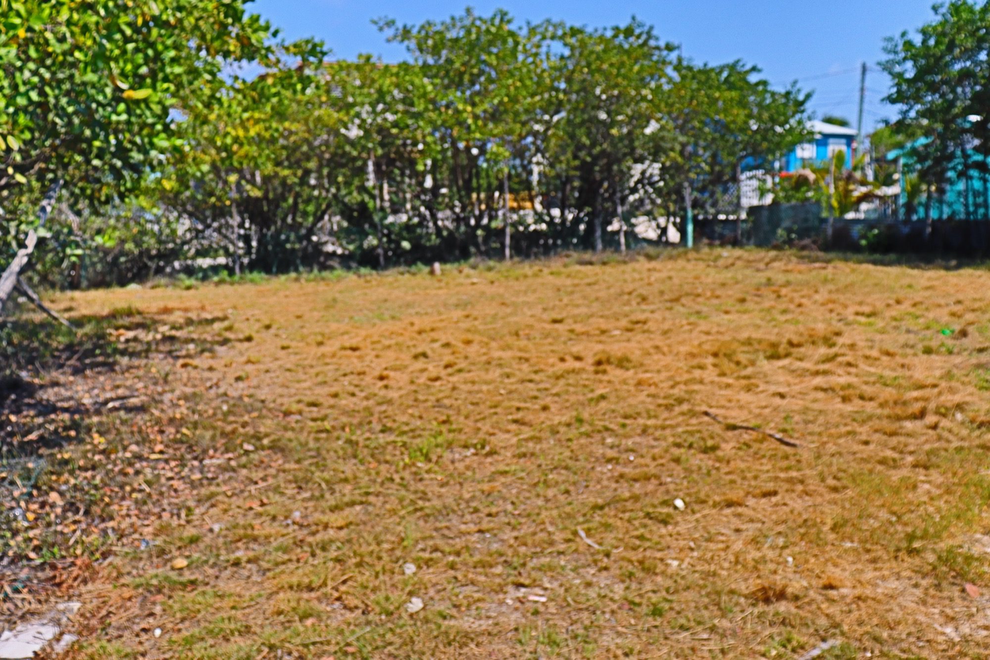 solid bahia corner lot