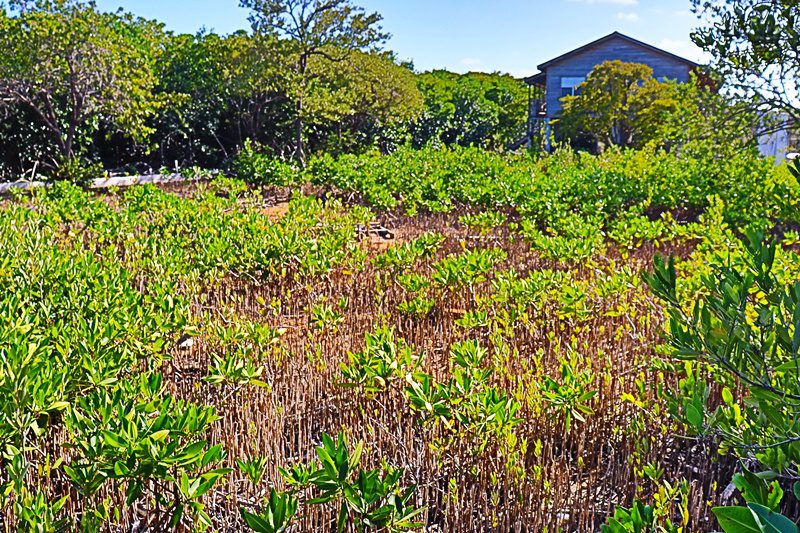 Unspoiled Beachfront Lot on Inlet