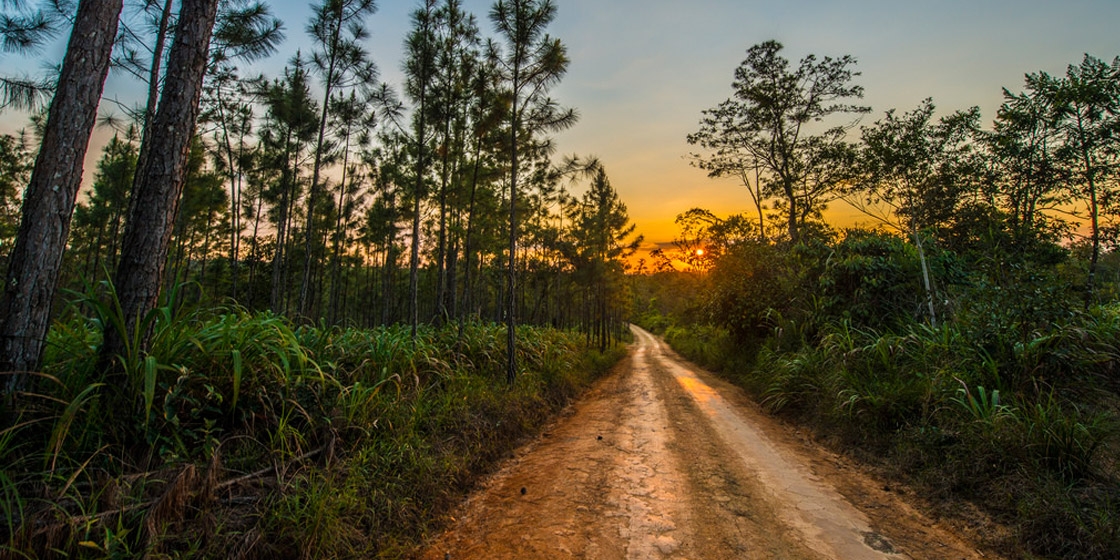 Chiquibul Rd, Georgeville, Belize