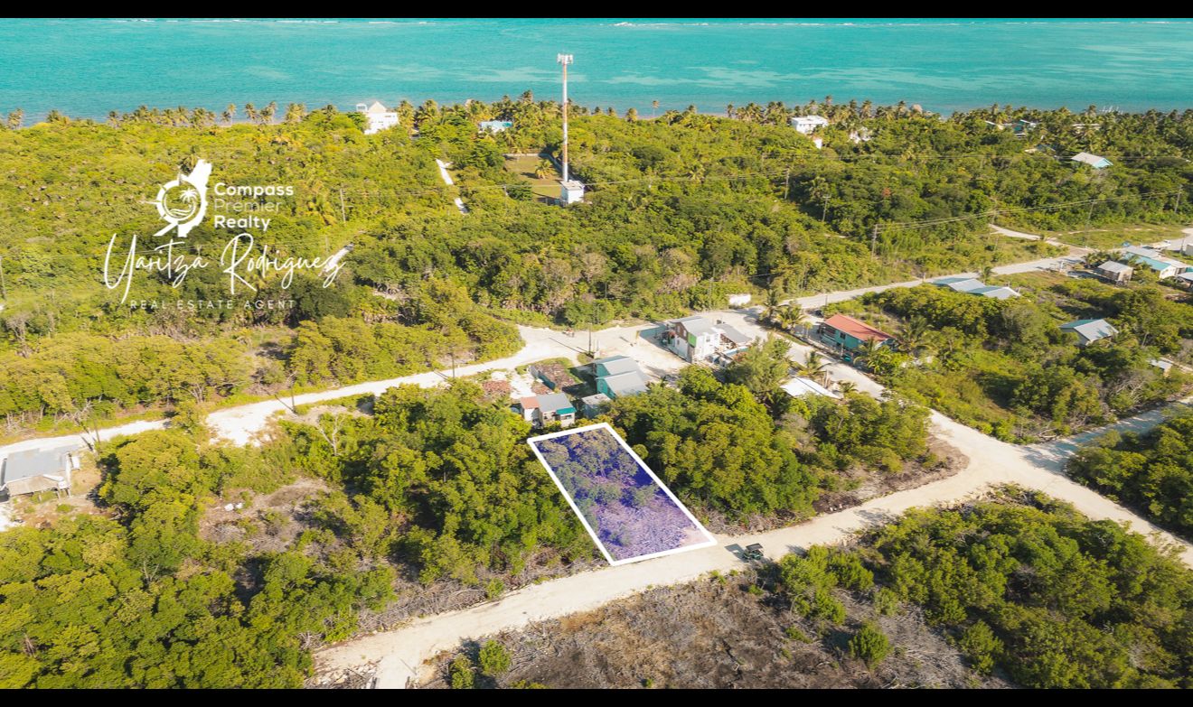 Raw Land in “New Town” Development Area