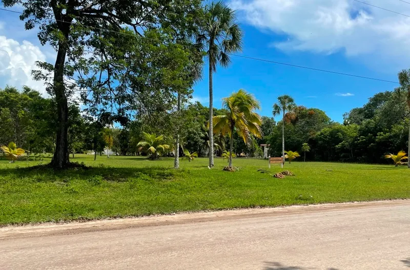 Consejo Shores – Beautiful 1/3-Acre Wooded Homesite on Jaguar Palms Drive