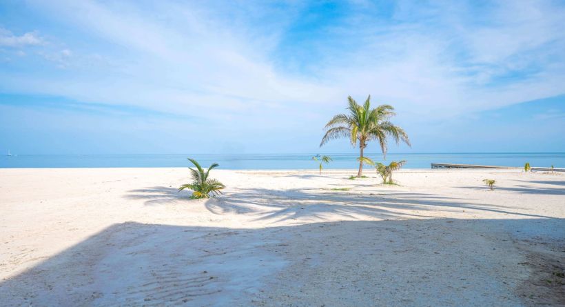 Courtyard Studio 2-102 At Bananas On The Beach - Recently Reduced!