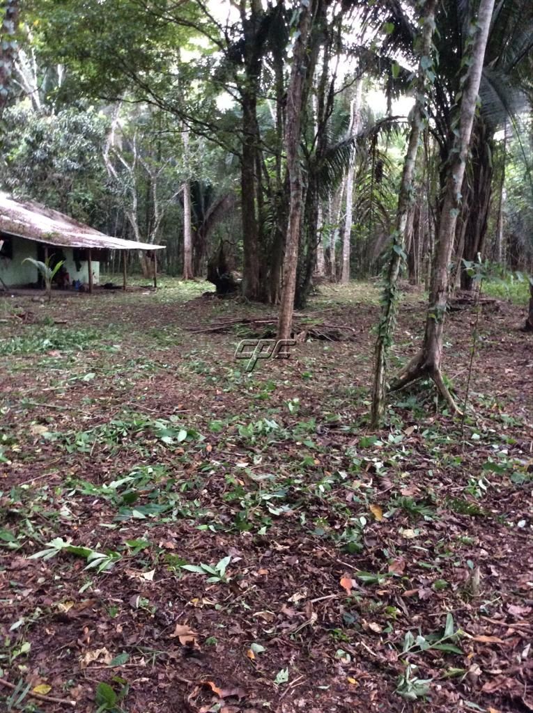 30.81 Acres in Boom Creek Village
