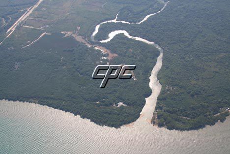717 Acre Property for Sale in Mullins River