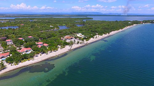 Lots for Sale in Placencia Coco Plum Development