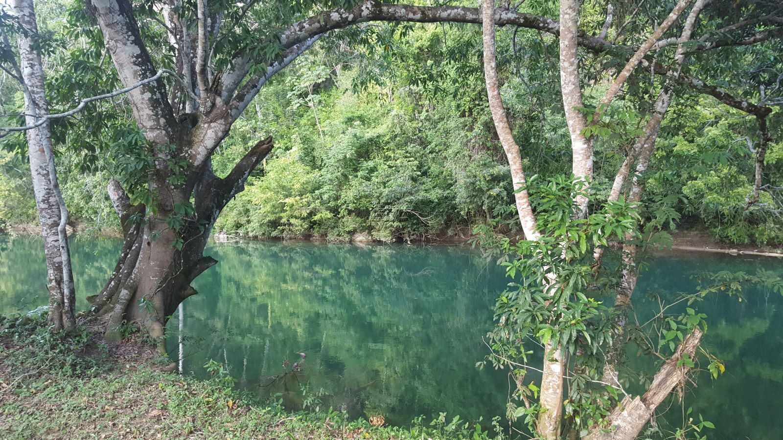 Mopan River Front Dream!