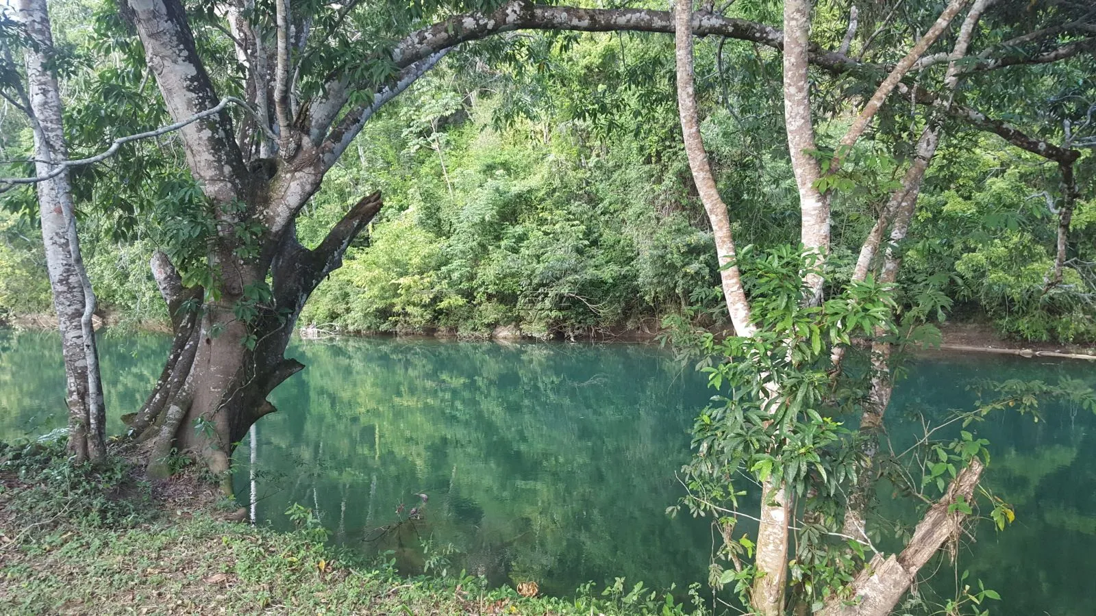 Mopan River Front Dream!