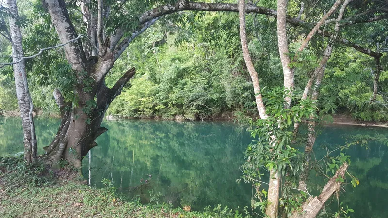 Mopan River Front Dream!