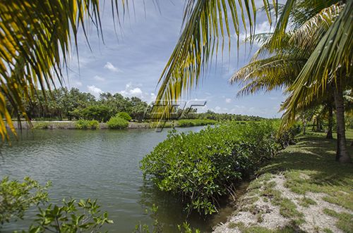Large Waterfront Lot in CocoPlum, Placencia Peninsula