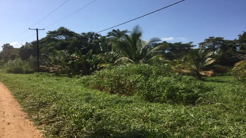 1.38 Acres Sittee River, Belize