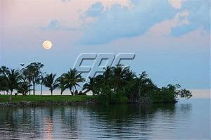 Consejo Shores Lot