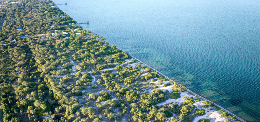DEVELOPER’S DREAM, 82 ACRES BEACHFRONT