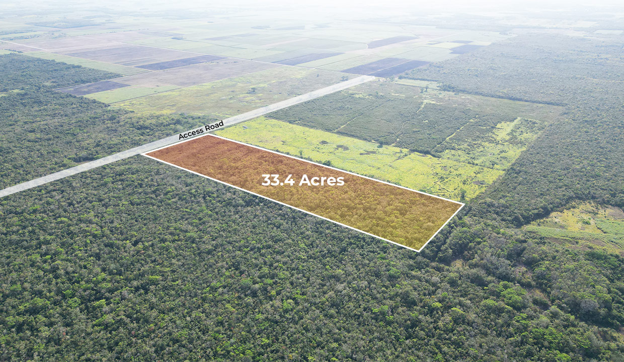 33.4 Acres Farmland near Tower Hill Village Orange Walk District in Northern Belize