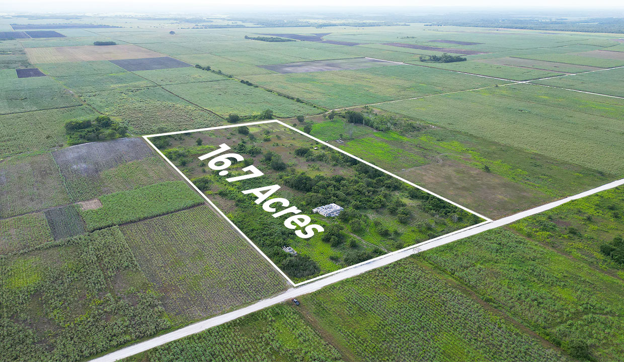 16.7 Acres Prime Property with Incomplete Structure near Guinea Grass Village Orange Walk District in Northern Belize