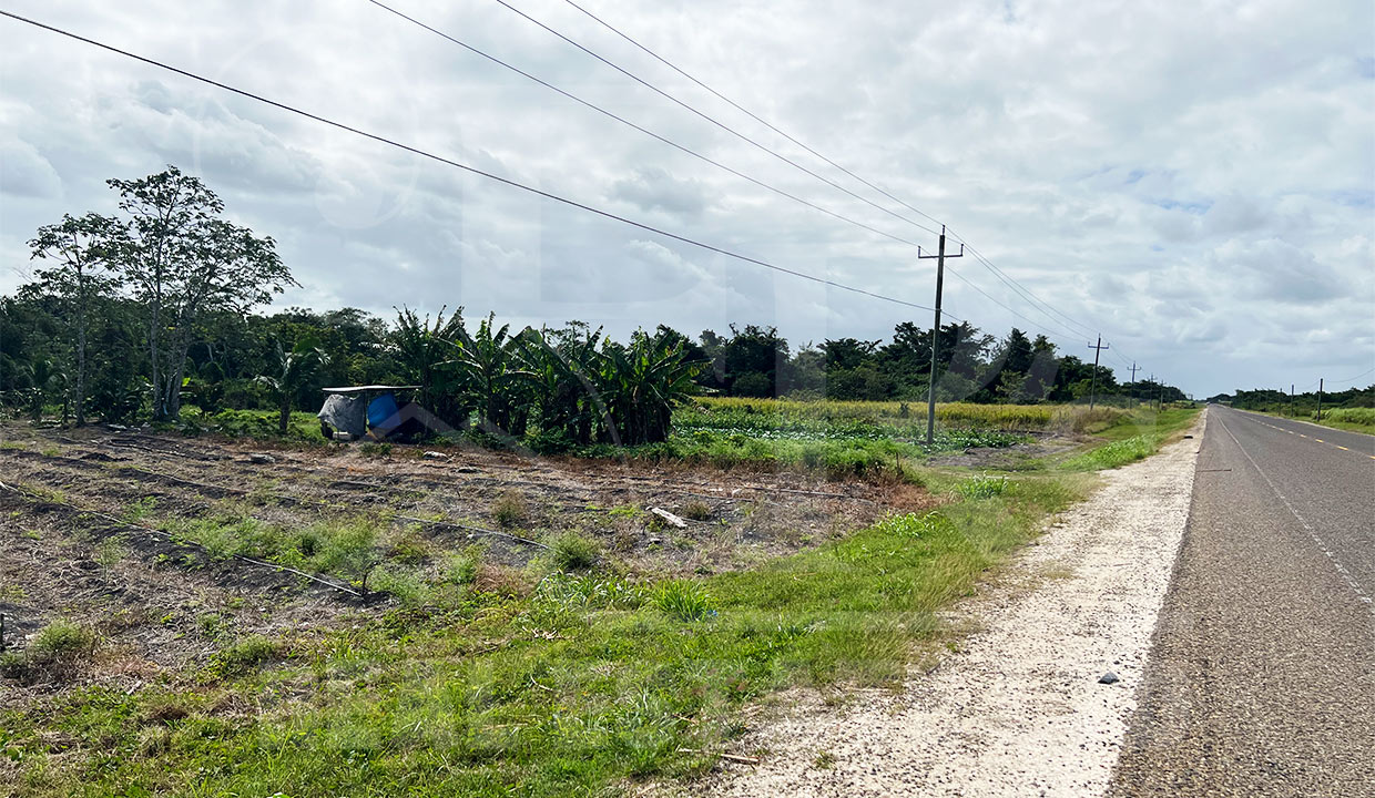 10 Acres Agricultural Farmland Mile 70 Phillip Goldson Highway Buena Vista Village Corozal District Northern Belize