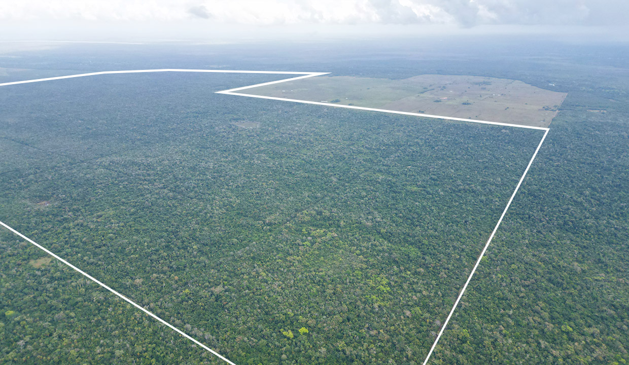 3000 Acres Agriculture Investment Opportunity in Rancho Dolores, Belize District