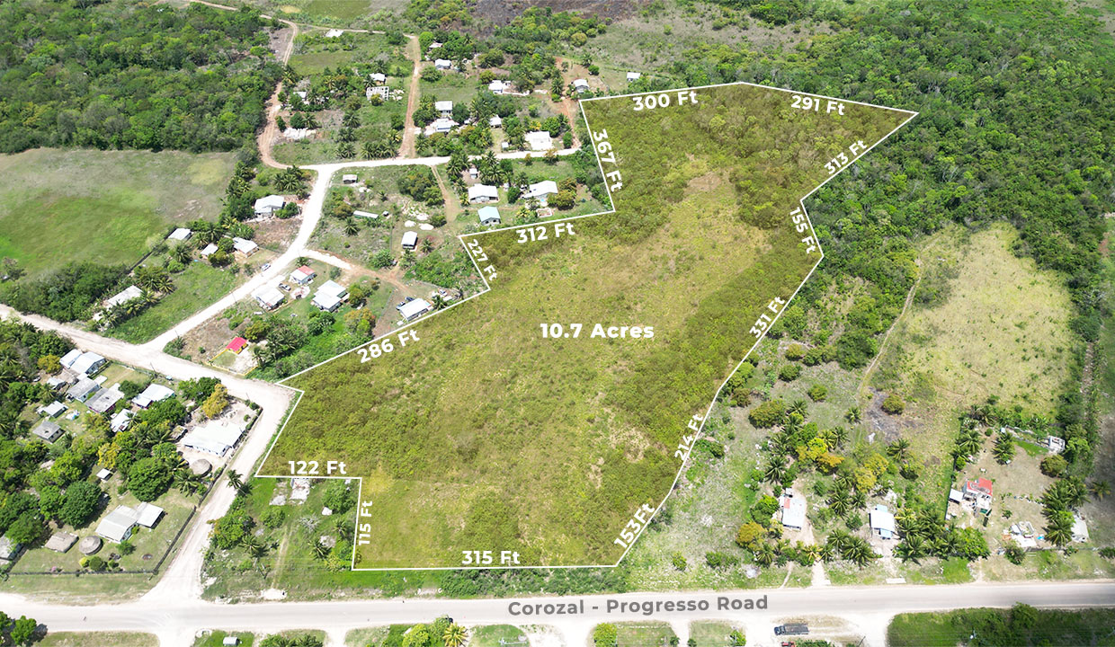 10.7 Acres Prime Investment Development Land for Sale in Progresso Village Northern Belize