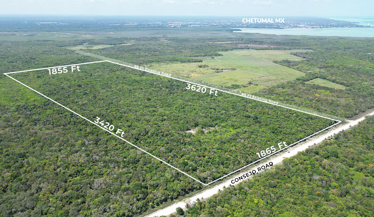 150 Acres Rare Find Prime Investment Development Property on Consejo Road Corozal Nothern Belize