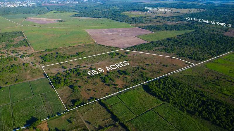 65.9 Acre Investment Property minutes from Orange Walk Town in Northern Belize