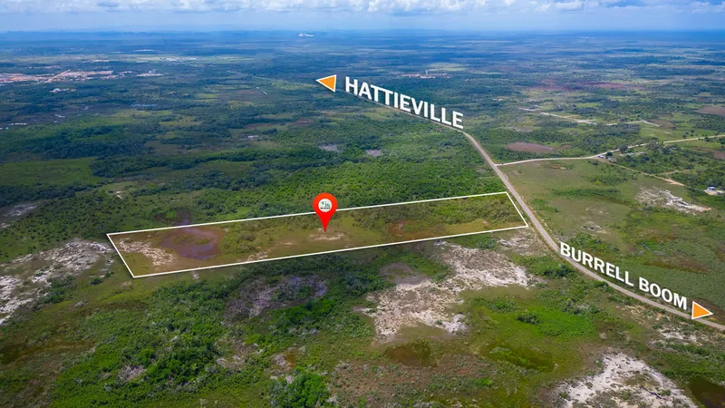 Pristine 20 Acre Parcel along the Burrell Boom-Hattieville Road Belize District Belize