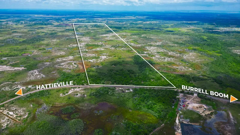 Premier 125 Acre Parcel of Land along the Burrell Boom Road, Belize District, Belize