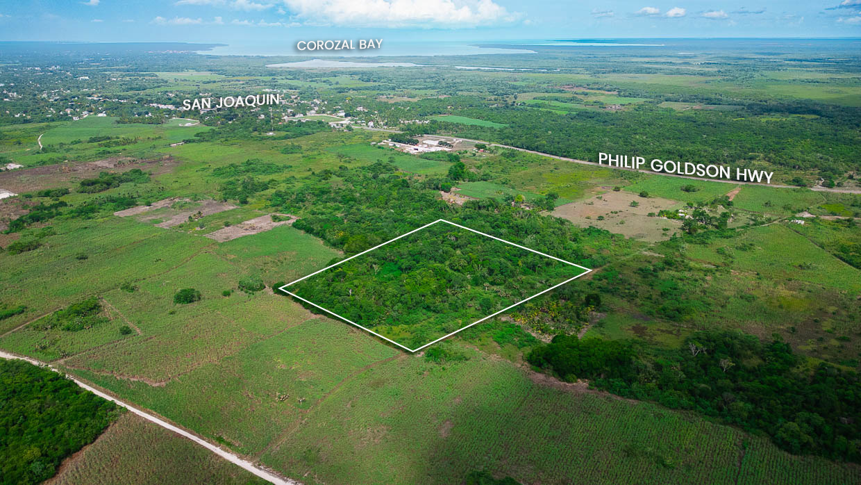 10 Acre undeveloped Property with Ancient Maya Archeological Maya Mound in Northern Belize