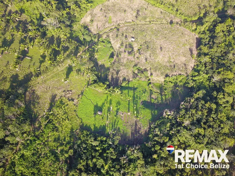B1028 - Exceptional Opportunity: 26.829 Acres of Prime Farm Land in the Village of Red Bank
